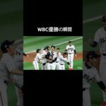 大谷翔平は最強　#日本代表　#野球　#wbc #shorts