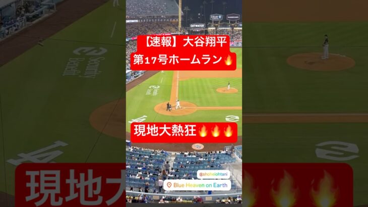 【速報】大谷翔平 第17号ホームラン🔥 #大谷翔平 #大谷 #ドジャース #ホームラン #今日の大谷さん #盗塁 #現地映像 #第17号 #17号 #ダイヤモンドバックス