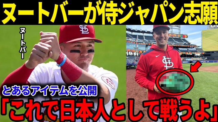 ヌートバーがとあるアイテムと一緒に2026年WBC日本代表に意欲｢これと一緒に日本人として戦うよ｣