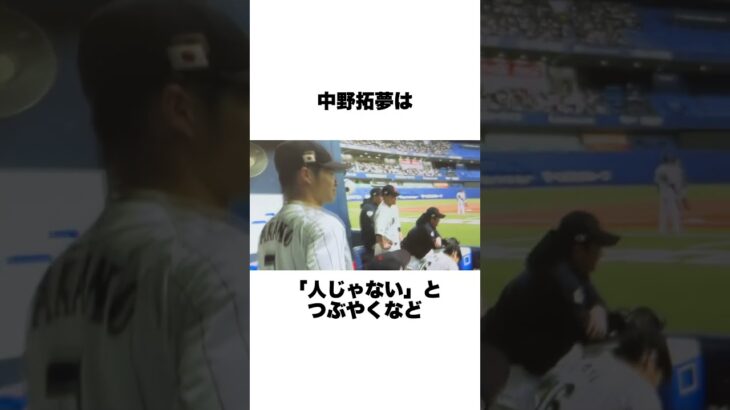 「大谷翔平はキモい」とWBCで言った近藤健介と大谷翔平についての雑学#野球#野球雑学#侍ジャパン