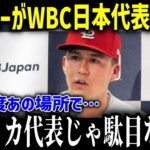 ヌートバーWBC日本代表侍ジャパン入り志願！「ショウヘイと話したんだけど…」ジャッジ主将の本気アメリカ代表撃破し２大会連続優勝へ！【海外の反応 MLB 大谷翔平WBC 】