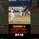 次のWBCで日本以外の代表になるかもしれないプロ野球選手3選 #shorts #プロ野球
