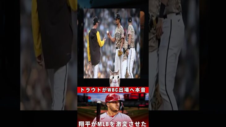 【驚愕】トラウトがWBCで漏らした“本音”に全米騒然「翔平がMLBを変えたんだ…」【海外の反応】 1