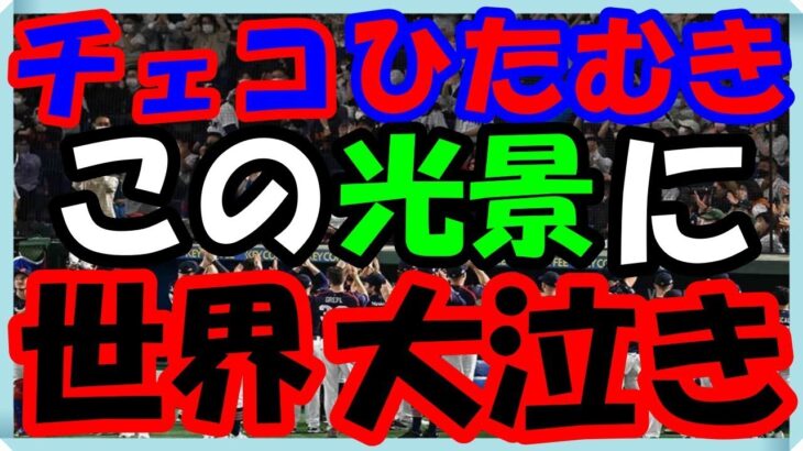 海外の反応 WBC・侍ジャパン!!大泣き!!日本に敬意を持って挑んだチェコのひたむきな勇姿と大谷選手がチェコに示した最大限の敬意に世界が涙した意外な訳とは？海外の反応ch ステキな日本