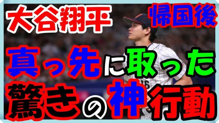 海外の反応 WBC・侍ジャパン!!大谷翔平選手が日本に帰国後、真っ先に取った驚きの神行動に米国人が感動した意外な訳とは？“ヌートバー＆大谷フィーバー”海外の反応ch ステキな日本
