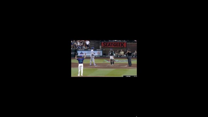 大谷翔平の打席でハプニング!