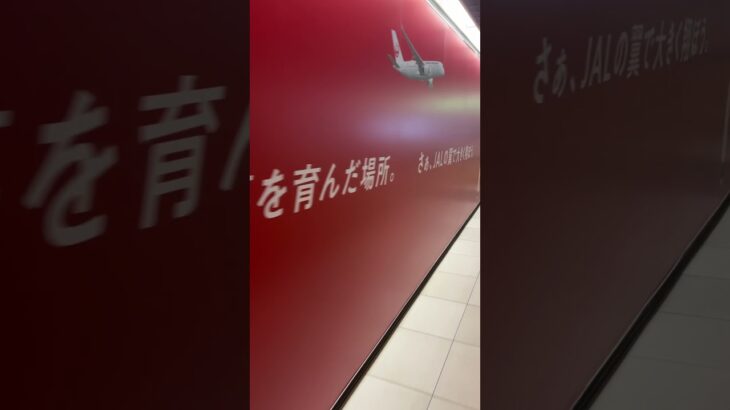 新千歳空港に等身大の大谷翔平様爆誕！！✈️