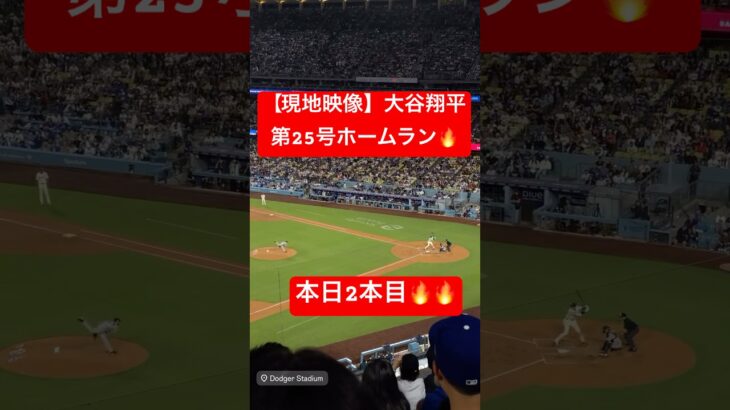 【現地映像】大谷翔平 第25号ホームラン🔥 この日2本目のHR🔥#大谷翔平 #大谷 #ドジャース #ホームラン #今日の大谷さん  #現地映像 #24号 #25号 #ohtani #ジャイアンツ