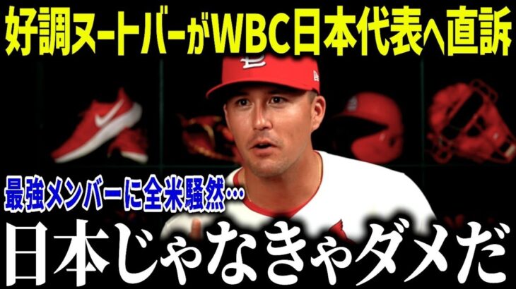 絶好調のヌートバーがWBC日本代表侍ジャパン入り熱望！「翔平と約束したんだ」日系メジャーリーガーも続々と表明か？【海外の反応 大谷翔平 MLB】［総集編］
