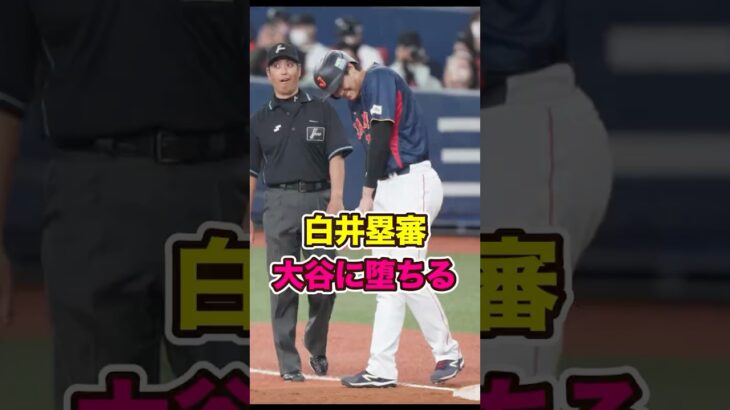 白井塁審、大谷翔平に堕ちる　#大谷 #大谷翔平 #shohei #ohtani #shoheiohtani #審判 #オリックス #侍ジャパン #wbc
