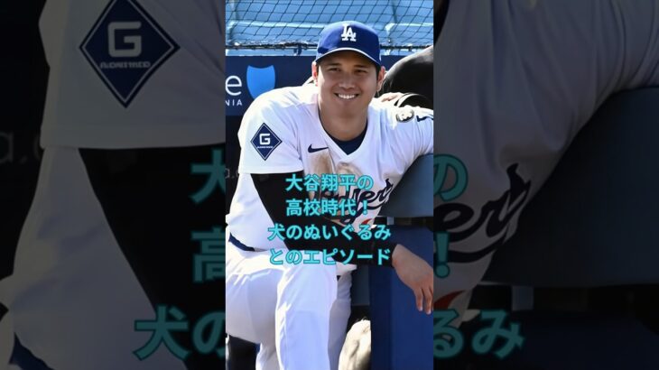 大谷翔平の高校時代！犬のぬいぐるみとのエピソード　#大谷翔平  ＃ドジャース  #shorts　VOICEVOX:ずんだもん VOICEVOX:四国めたん
