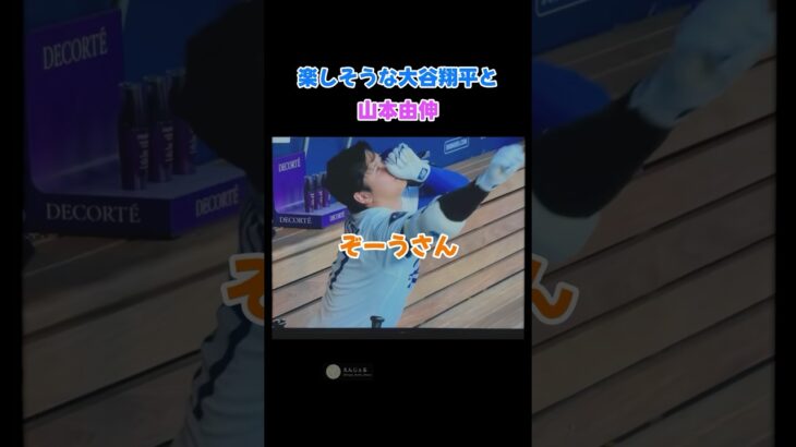 楽しそうな大谷翔平と山本由伸！🤣　ぞーうさん🐘