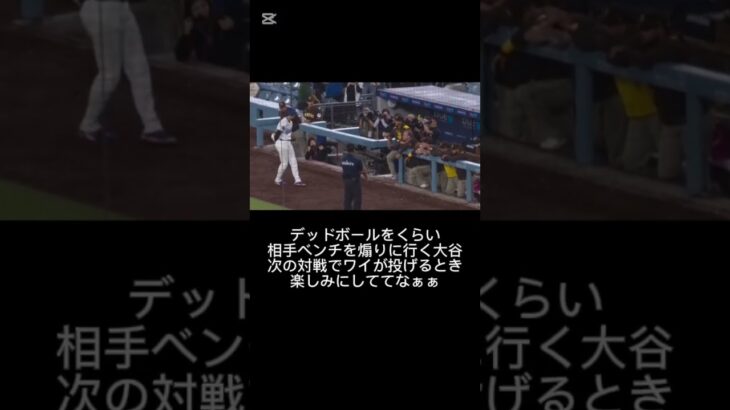 デッドボールをくらった大谷翔平が相手ベンチへ向かい何かを言っている