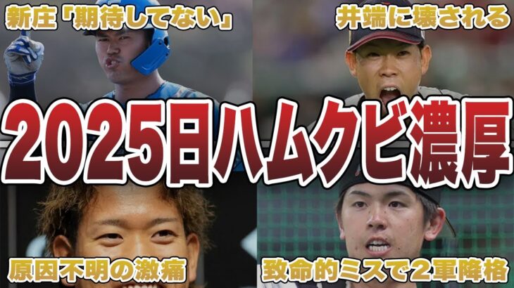 【2025】日本ハムの今シーズン、かなり崖っぷちの選手たち…厳しい現状に言葉を失う…