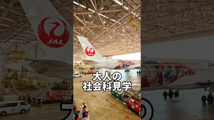 羽田JAL整備工場で大谷翔平選手デザイン「DREAM SHO JET」に遭遇！#shorts #社会科見学 #飛行機 #jal