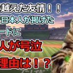 【猫ミーム】感動！！WBC日本対台湾戦で日本人が掲げ、台湾人が心打たれ涙したプラカードの内容とは！？