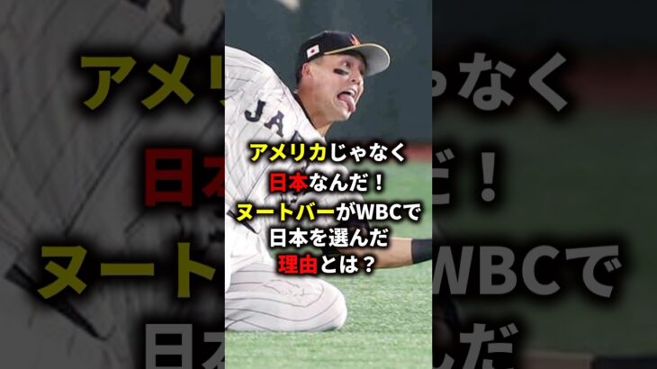 ヌートバーがWBCで日本を選んだ理由とは？ #野球 #プロ野球 #mlb