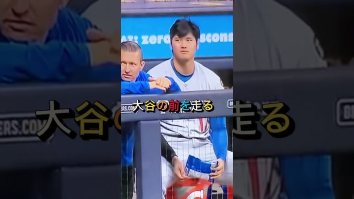 【大爆笑🤣”大谷”ソーセージレースを楽しむ】＃shorts＃大谷翔平＃ミルウォーキーブルワーズのソーセージレース