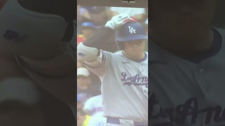 大谷翔平さんに会いたい　　第四打席　三振