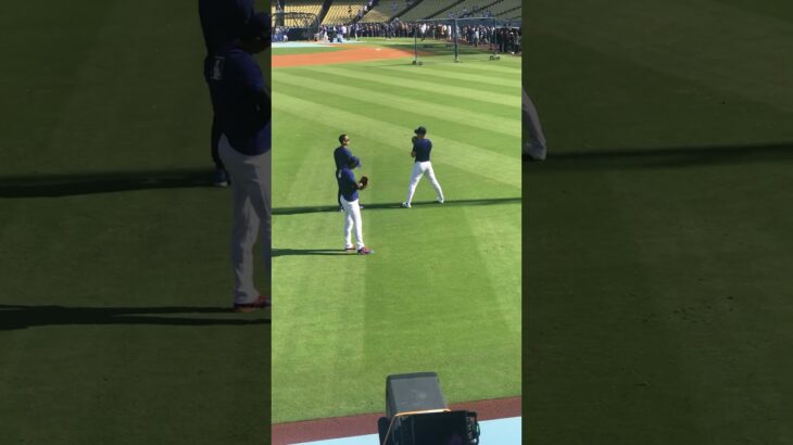 大谷翔平さんに会いたい　　蔵出し　切り取り　ご自由にお使いください　　#大谷翔平