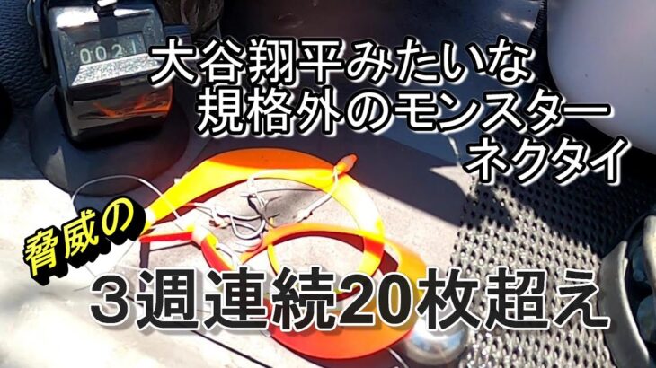 大谷翔平みたいな規格外のモンスターネクタイ