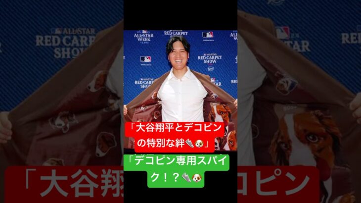 大谷翔平のスーツとスパイクに秘められたデコピンとの絆｜愛犬と共に歩むスターの物語