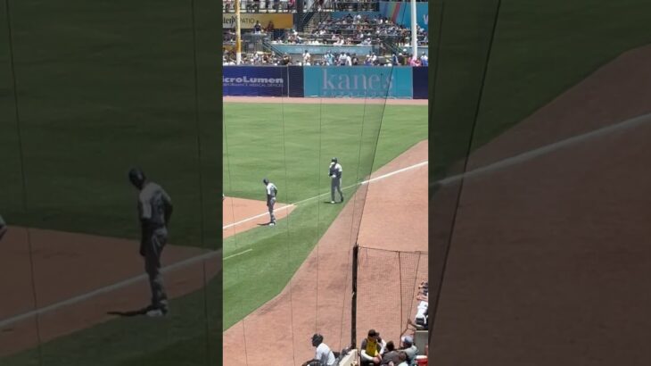 大谷翔平　タンパで内野安打　2025年８月３日 #mlb #dodgers #sports #baseball #highlights #大谷翔平　#ohtani