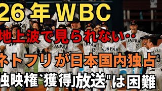 26年WBC　地上波で見られない…ネトフリが日本国内独占放映権獲得 “同時放送”は困難