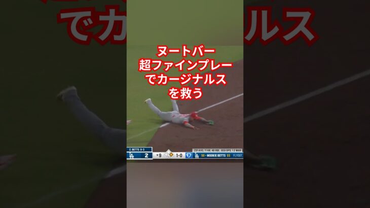 WBC日本代表にまた選ばれる事を期待。