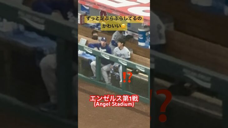 【現地観戦】ずっと足をぷらぷらしている大谷翔平が可愛すぎた#shoheiohtani #大谷翔平 #dodgers #angels