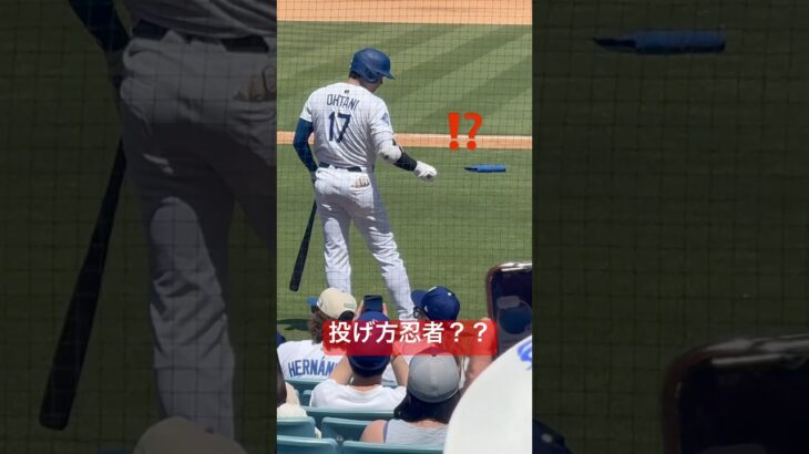 【現地観戦】大谷翔平が忍者と魔法使いの二刀流すぎた#shoheiohtani #大谷翔平 #dodgers #bluejays
