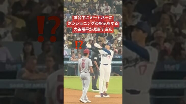 【現地観戦】試合中にヌートバーに指示する大谷翔平が鬼畜すぎた#shoheiohtani #大谷翔平 #dodgers #ヌートバー #cardinals