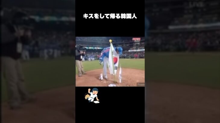 韓国まとめ#野球 #雑学 #wbc #日本