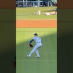 2025/8/27 大谷翔平賽前練投！！！！#大谷翔平 #ShoheiOhtani#dosgers#dodgerstadium#mlb
