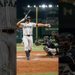 2026年WBC日本代表っぽい人#おもしろ#面白い