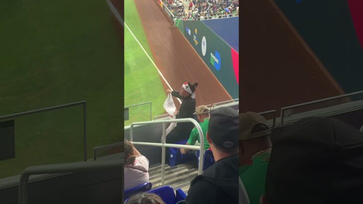 Epic Cheer from Japan Team Fan at WBC! WBC 일본 대표팀 응원하는 멋진 팬 장면! WBC日本代表チームを応援するかっこいいファンシーン！
