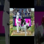 【SOS】MLBが「WBC放送中止」を正式発表！大谷翔平選手は大ショック…