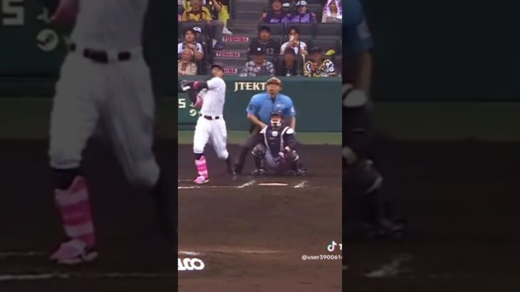 日本のサードを勝ち取るのは‼︎ #野球 #WBC #プロ野球