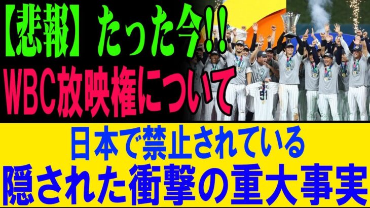 【緊急速報】WBC放映権の裏側がヤバい!? 日本で“禁止”された衝撃の真相とは…