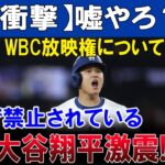 【衝撃】嘘やろ？WBC放映権について日本で禁止されている今夜大谷翔平激震!!