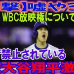 【衝撃】ウソ？大谷翔平、WBC放映権が日本で禁止に！今夜衝撃!!