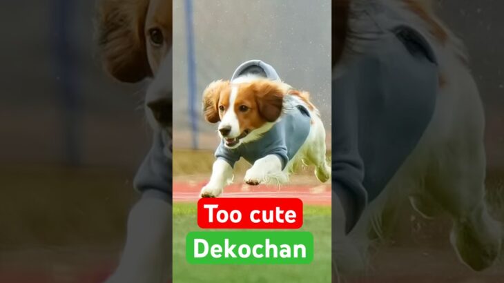 デコピン #cute #大谷翔平
