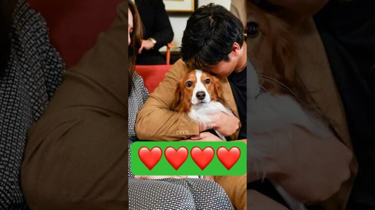 #デコピン #大谷翔平 #かわいい #shoheiohtani #dekopin #cute