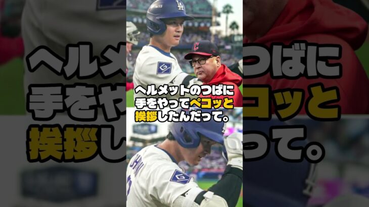 プレーオフでも礼儀を忘れない大谷翔平🔷大谷翔平 ＆ MLB最新ニュース#大谷翔平 #ShoheiOhtani#ドジャース #MLB