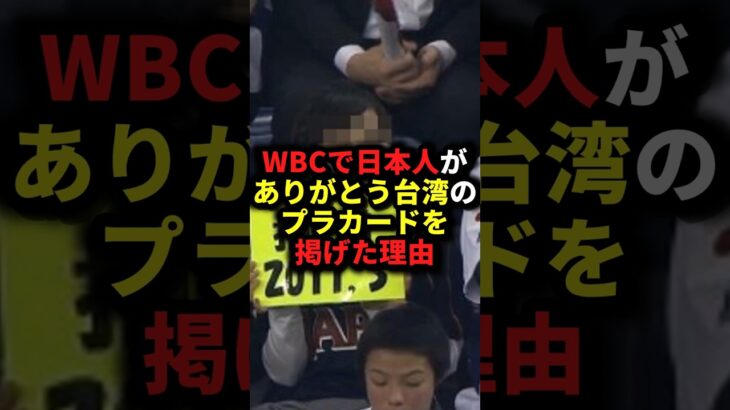 WBCで日本人がありがとう台湾のプラカードを掲げた理由 #野球#台湾#野球解説