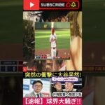 【速報】井端監督がまさかの決断!「ヌートバーWBC構想から外す!」大谷も衝撃!! 😱⚾ 1 #野球 #アメリカンリーグ #baseballplayer #プロ野球