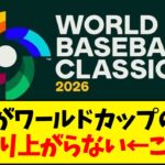 WBCがワールドカップの様に盛り上がらない←これ【野球反応集】