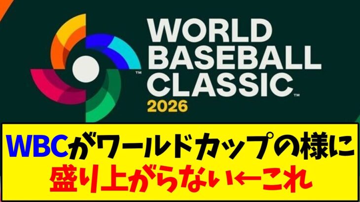 WBCがワールドカップの様に盛り上がらない←これ【野球反応集】