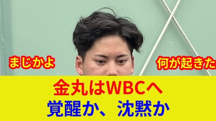 金丸WBC代表へ!?【速報】劇的展開、衝撃の判明