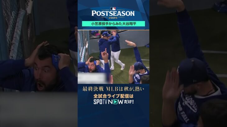 【小笠原慎之介 】現役メジャーリーガーが語る“大谷翔平”#shorts  #SPOTVNOWポストシーズン